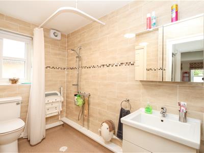 Picture 8